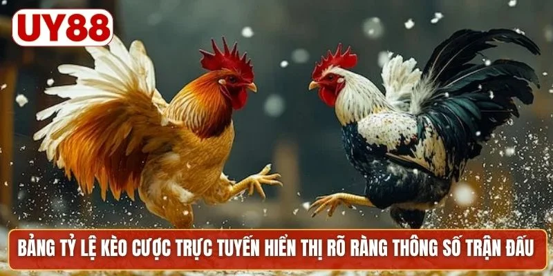 Bảng tỷ lệ kèo cược trực tuyến hiển thị rõ ràng thông số trận đấu