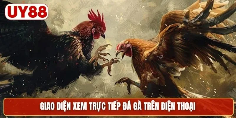 Giao diện xem trực tiếp đá gà trên điện thoại
